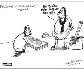 Medium_2014.08.22car